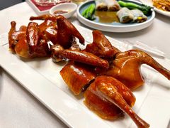 红烧光明乳鸽-粤江春·早茶·潮粤菜·宴会(罗湖宝能中心店)