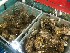 -绿雅居原生态农庄(小涌店)