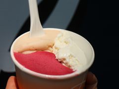 -Dip in Gelato(富民路店)