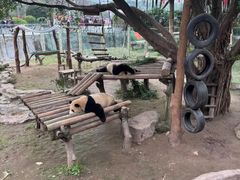 -重庆动物园·东二门售票处