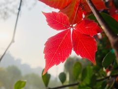 -安定门(地铁站)