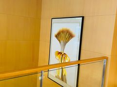 -哈尔滨龙晟雷克萨斯