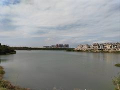 -立新湖公园