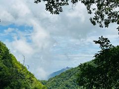 -西安祥峪森林公园