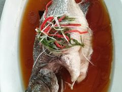 -有喜胶东小馆(超极合生汇太申祥和店)