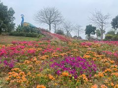 -东莞植物园