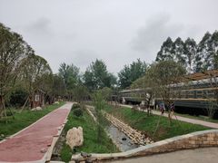 -白鹭湾湿地公园