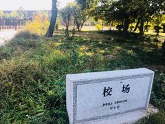 景点-蓬莱阁景区