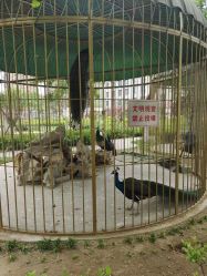 -宝馨月月子中心(友谊医院店)
