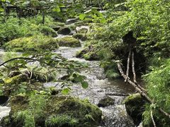 -汤旺河林海奇石景区
