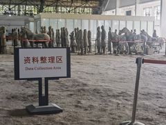 -秦始皇帝陵博物院(兵马俑)