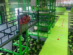 -C7城市运动空间·蹦床·健身·团建