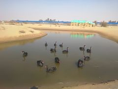 -亿利库布其七星湖沙漠生态旅游区