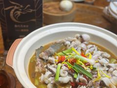 -龙悦湾酒家·八阵鱼生·渔人码头店