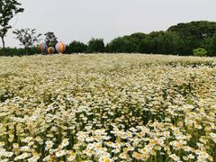 -同里国家湿地公园