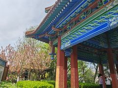 -阅江楼风景区
