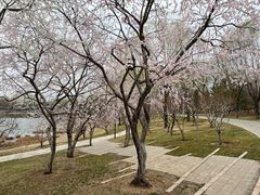 -北坞公园