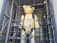 -济州岛泰迪熊博物馆