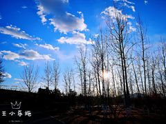 -永定河休闲森林公园