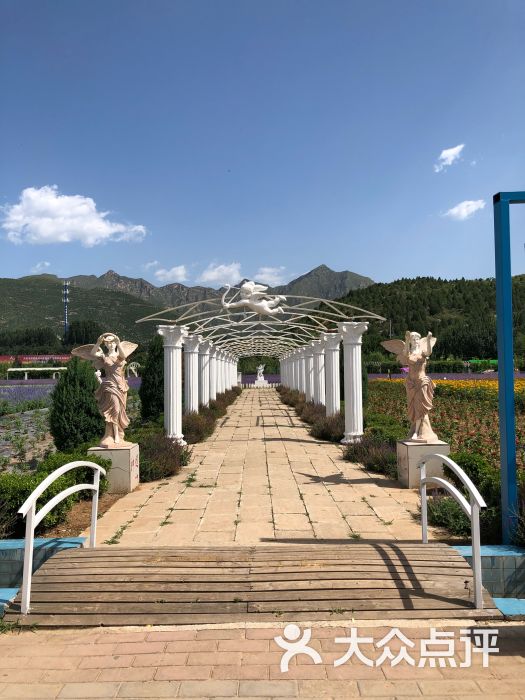爱琴海薰衣草庄园图片 - 第5张