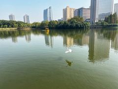 -黄兴公园
