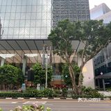 不是很推荐。哈哈哈哈哈哈。但来新加坡肯定要去乌节路