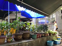 露天位-欣怡茶庄·始于1999(梅家坞店)