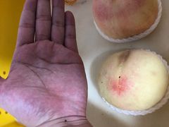 -老袁家蜜桃农场·阳山水蜜桃