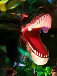 -恐龙探索乐园(磁器口店)