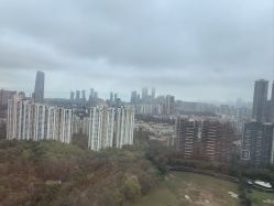 -禧月荟S月子中心(侨城店)