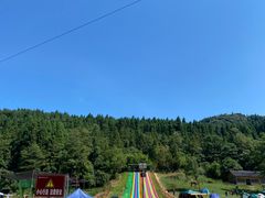 -武陵山森林公园