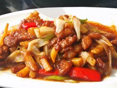 -云中小雅