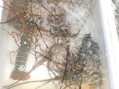 -拉威海鲜市场