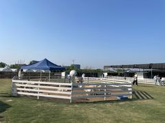 -栖露营camping·天幕烧烤·团建拓展·采摘营地