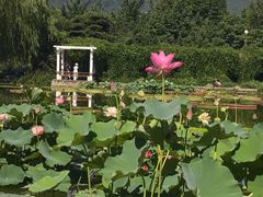 -国家植物园南园