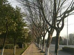 -明故宫遗址公园