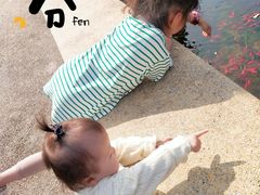 -金砂公园