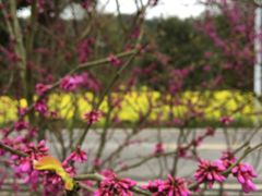 -韶山毛泽东同志故居