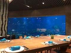 -海棠湾洲际-涛·海底餐厅·美人鱼·自助餐·海底隧道