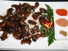 香煎金蝉-三义和酒楼(广渠门店)
