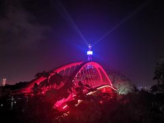 -金鸡山公园