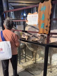 -酷嗒动物文化乐园(cutezoo西溪乐天城店)