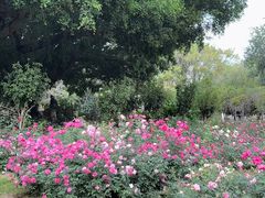 -人民公园(罗湖区)