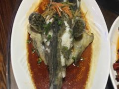 霸王岭8号清蒸石斑鱼-清水湾3号(东方小周海鲜店)