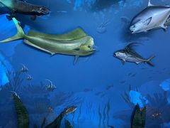 -陕西自然博物馆