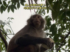-黔灵山公园