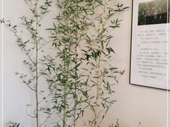 -十二舍·湯物素煮(江泰潤政店)