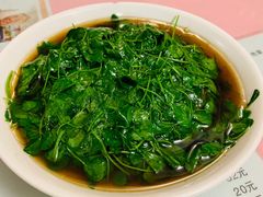 -蘭心餐厅(进贤路店)