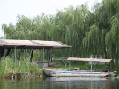 -白洋淀景区