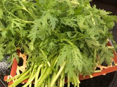 茼蒿-湊湊火锅·茶憩(打浦桥日月光店)